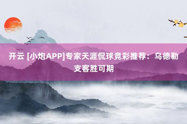 开云 [小炮APP]专家天涯侃球竞彩推荐：乌德勒支客胜可期
