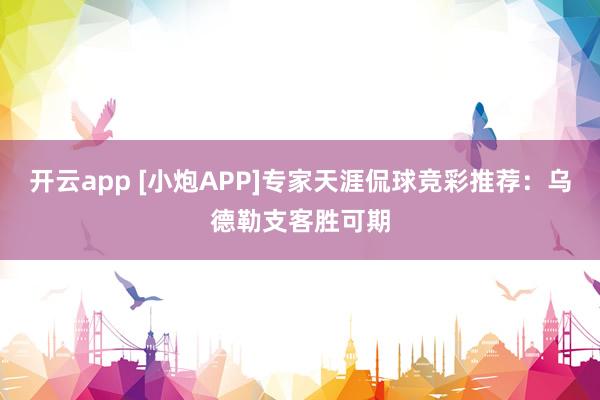 开云app [小炮APP]专家天涯侃球竞彩推荐：乌德勒支客胜可期