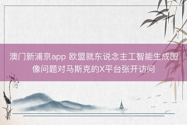 澳门新浦京app 欧盟就东说念主工智能生成图像问题对马斯克的X平台张开访问