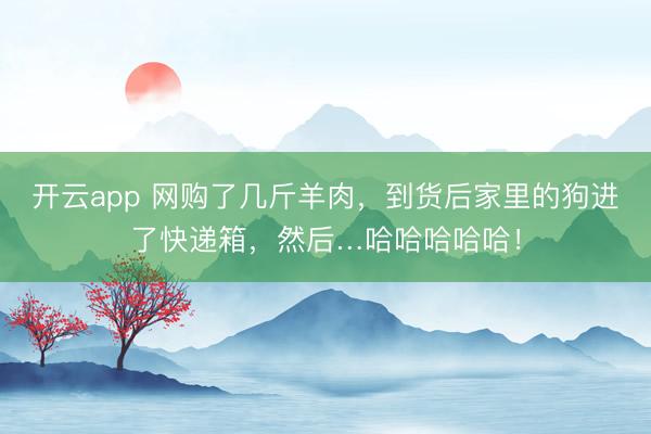 开云app 网购了几斤羊肉，到货后家里的狗进了快递箱，然后…哈哈哈哈哈！